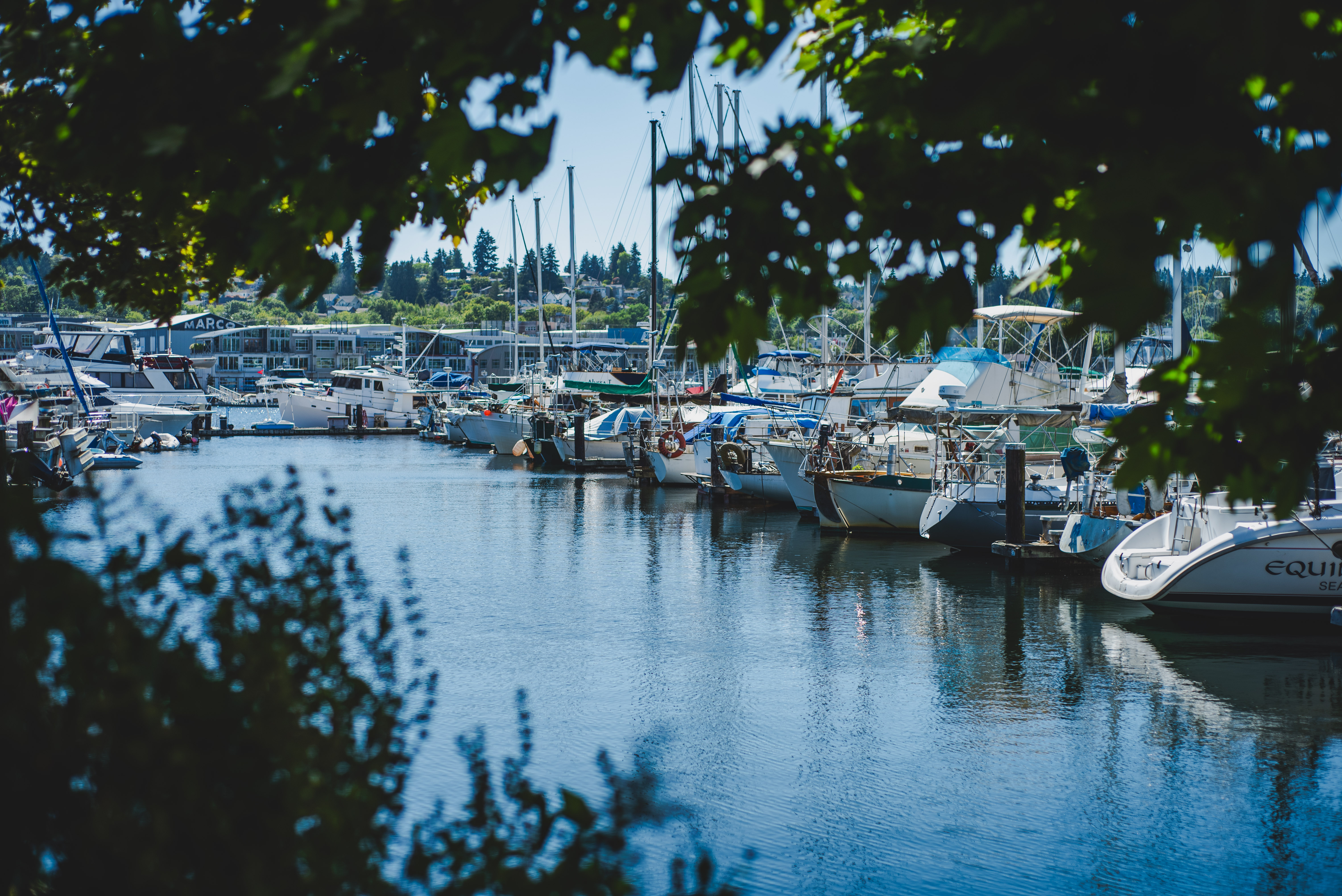 Ballard Mill Marina